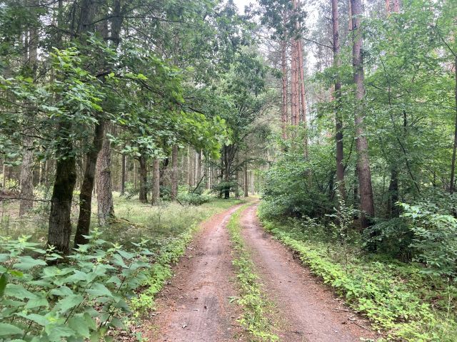 Zuwegung - 23,6 ha große Waldfläche nebst Wohngebäude, Garage und Scheune **vertragsfrei**