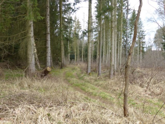 Baumbestand - 23,6 ha große Waldfläche nebst Wohngebäude, Garage und Scheune **vertragsfrei**
