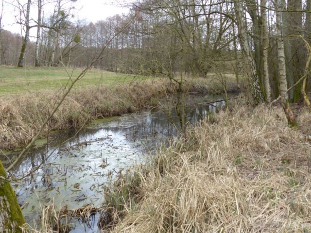 Ronnebecker Bäke - 23,6 ha große Waldfläche nebst Wohngebäude, Garage und Scheune **vertragsfrei**