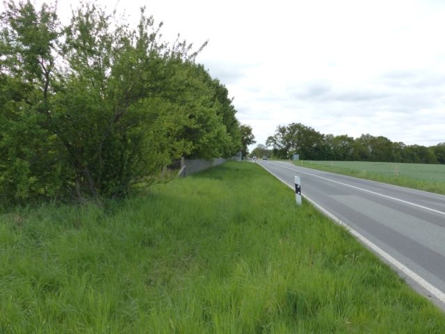 Ansicht B103 - Verkaufsfläche linke Seite - Vertragslos als Weideland genutzte Grünfläche im Randbereich einer Wohnsiedlung in Meyenburg in der Prignitz