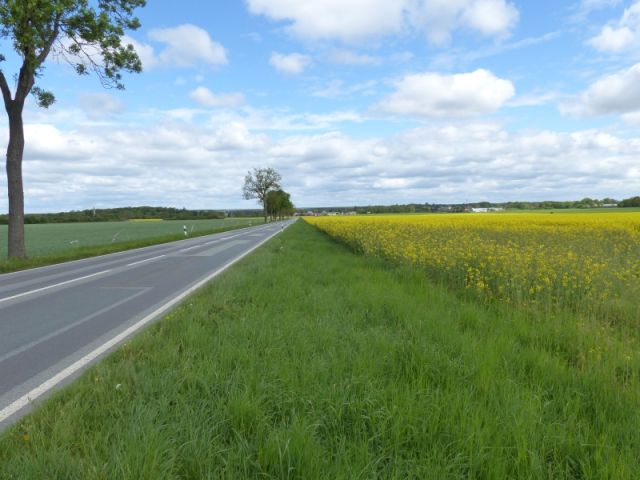 Blick auf Umgebung und B103 - Vertragslos als Weideland genutzte Grünfläche im Randbereich einer Wohnsiedlung in Meyenburg in der Prignitz