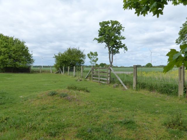 Blick auf Verkaufsfläche nördliche Grundstücksgrenze und Umgebung - Vertragslos als Weideland genutzte Grünfläche im Randbereich einer Wohnsiedlung in Meyenburg in der Prignitz