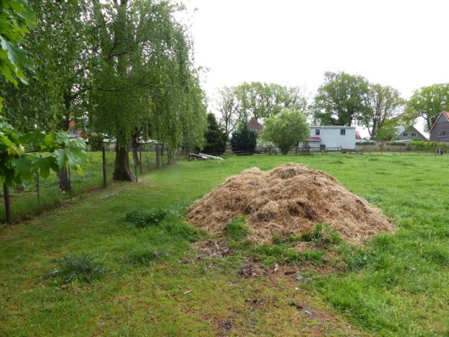 Blick auf Verkaufsfläche östliche Grundstücksgrenze und Umgebung - Vertragslos als Weideland genutzte Grünfläche im Randbereich einer Wohnsiedlung in Meyenburg in der Prignitz