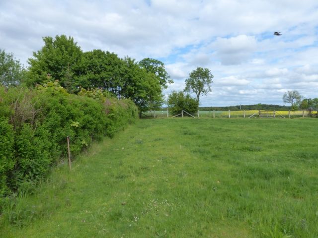 Blick auf Verkaufsfläche westliche Grundstücksgrenze und Umgebung - Vertragslos als Weideland genutzte Grünfläche im Randbereich einer Wohnsiedlung in Meyenburg in der Prignitz