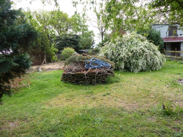 Blick auf Verkaufsfläche - Vertragslos als Weideland genutzte Grünfläche im Randbereich einer Wohnsiedlung in Meyenburg in der Prignitz