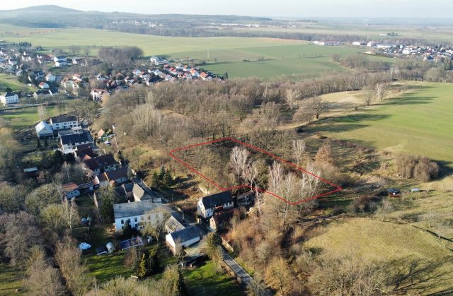 Ungefähre Lage der Verkaufsfläche und Blick auf die Umgebung - Naturbelassene Gehölz- und Grünfläche in Oschatz zwischen Dresden und Leipzig
