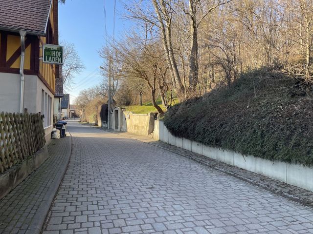Ansicht Kreischaer Straße - Naturbelassene Gehölz- und Grünfläche in Oschatz zwischen Dresden und Leipzig