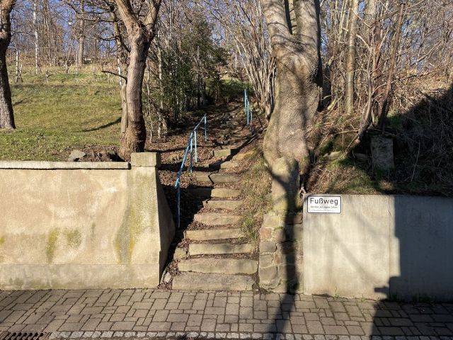 Blick auf Zuwegung von der Kreischaer Straße und auf die Umgebung - Naturbelassene Gehölz- und Grünfläche in Oschatz zwischen Dresden und Leipzig