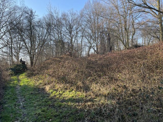 Blick auf Verkaufsfläche und Umgebung - Naturbelassene Gehölz- und Grünfläche in Oschatz zwischen Dresden und Leipzig