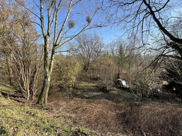 Blick auf Verkaufsfläche und Umgebung - Naturbelassene Gehölz- und Grünfläche in Oschatz zwischen Dresden und Leipzig