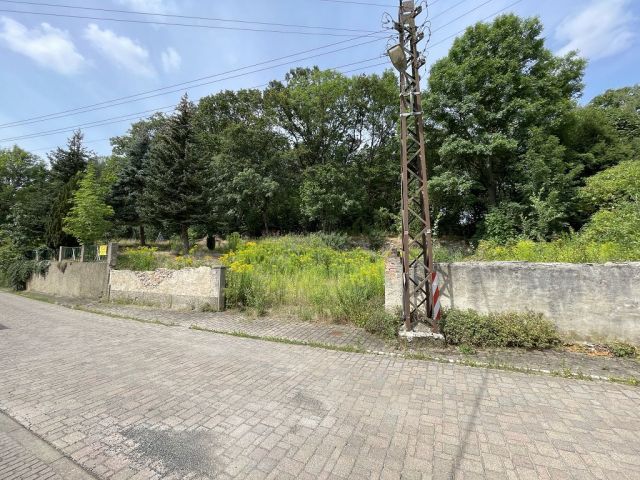 Blick von der Kreischaer Straße auf davorliegendes Grundstück - Naturbelassene Gehölz- und Grünfläche in Oschatz zwischen Dresden und Leipzig