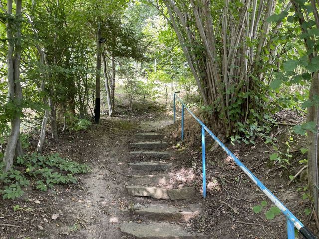 Blick auf Zuwegung und Umgebung - Naturbelassene Gehölz- und Grünfläche in Oschatz zwischen Dresden und Leipzig