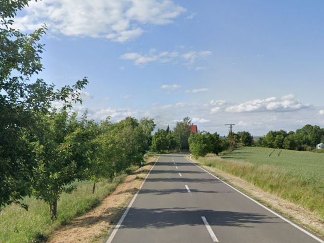 Straßenansicht und Umgebung Richtung Wansleben am See - Bis 30.09.2027 verpachteter Grünland-/Landwirtschaftsstreifen in Wansleben am See