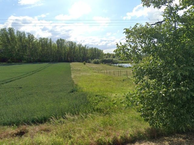 Blick auf Verkaufsfläche und Umgebung - Bis 30.09.2027 verpachteter Grünland-/Landwirtschaftsstreifen in Wansleben am See