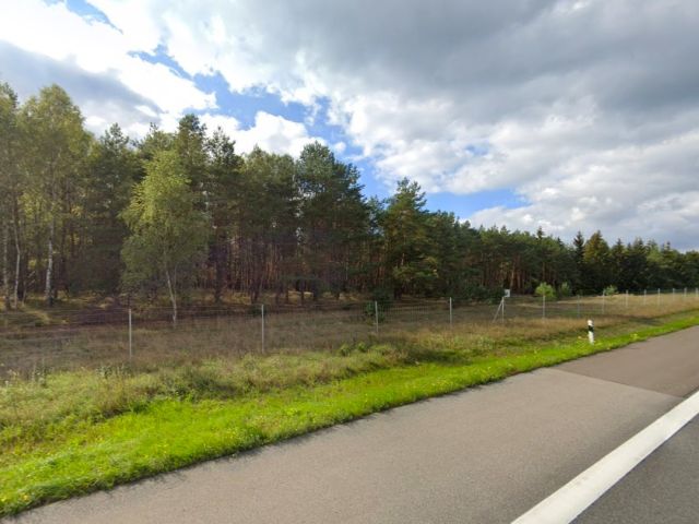 Blick auf den Verkaufsgegenstand - Autobahnbegleitende Waldrandfläche nördlich des Rastplatzes „Borker See“ an der A24
