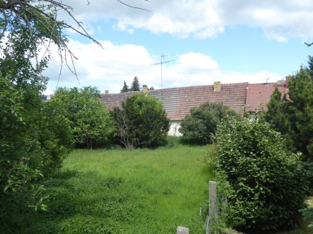 Rückwärtiger Grundstücksbereich - Ruinöses Wohnhaus in Bad Schmiedeberg **ehemals Einfamilienreihenmittelhaus**