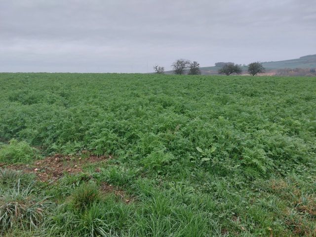 Blick auf Verkaufsfläche und Umgebung - Landwirtschaftsfläche im Landkreis Limburg-Weilburg