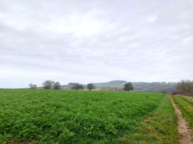 Blick auf Verkaufsfläche, Wirtschaftsweg und Umgebung - Landwirtschaftsfläche im Landkreis Limburg-Weilburg