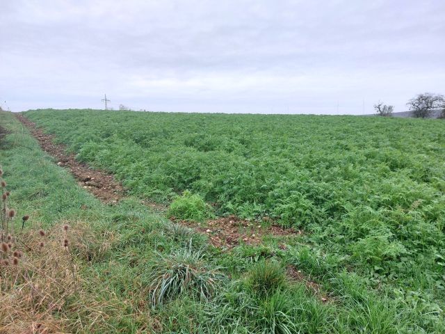 Blick auf Verkaufsfläche und Umgebung - Landwirtschaftsfläche im Landkreis Limburg-Weilburg
