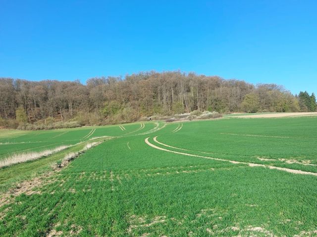 Blick auf die Umgebung - Ackerfläche zwischen Marburg und Wetzlar
