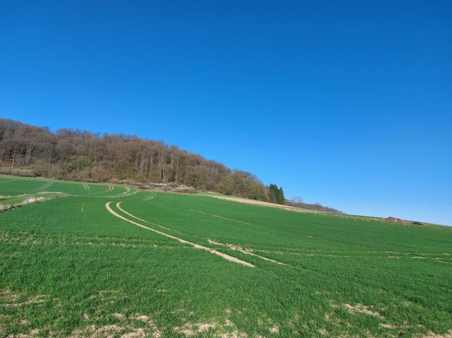 Blick auf die Verkaufsfläche und die Umgebung - Ackerfläche zwischen Marburg und Wetzlar