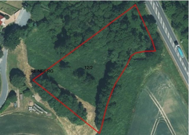 Lageskizze - Vertragsfreies Freizeit- und Waldgrundstück zwischen Stralsund und Greifswald ca. 5 Autominuten bis zur Autofähre nach Rügen