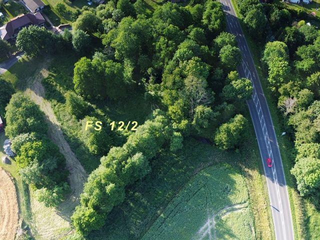 Blick auf Verkaufsfläche und Umgebung - Vertragsfreies Freizeit- und Waldgrundstück zwischen Stralsund und Greifswald ca. 5 Autominuten bis zur Autofähre nach Rügen