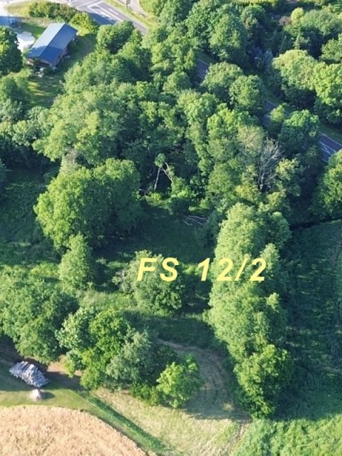 Blick auf Verkaufsfläche und Umgebung - Vertragsfreies Freizeit- und Waldgrundstück zwischen Stralsund und Greifswald ca. 5 Autominuten bis zur Autofähre nach Rügen