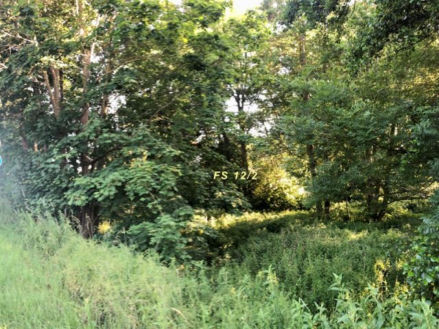 Blick auf Verkaufsfläche und Umgebung - Vertragsfreies Freizeit- und Waldgrundstück zwischen Stralsund und Greifswald ca. 5 Autominuten bis zur Autofähre nach Rügen