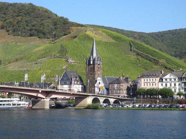 Blick auf Zell und den Doktorberg - Vertragsfreies, naturbelassenes Weinberggrundstück auf dem Doktorberg in Zell (Mosel)