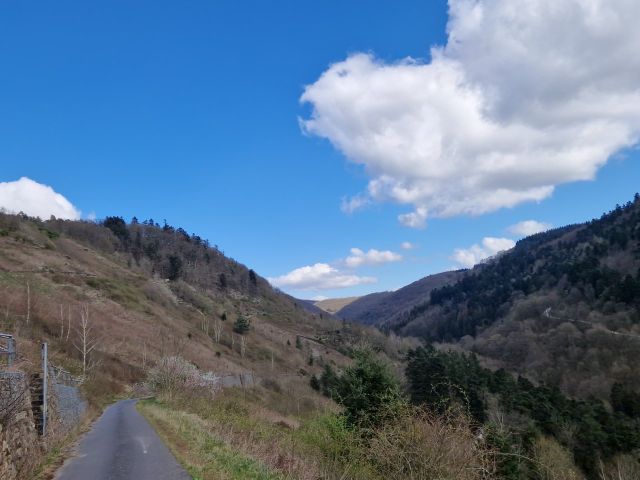 Blick Richtung Verkaufsfläche und auf die Umgebung - Vertragsfreies, naturbelassenes Weinberggrundstück auf dem Doktorberg in Zell (Mosel)
