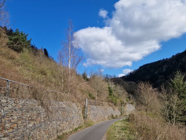 Blick auf die Umgebung - Vertragsfreies, naturbelassenes Weinberggrundstück auf dem Doktorberg in Zell (Mosel)