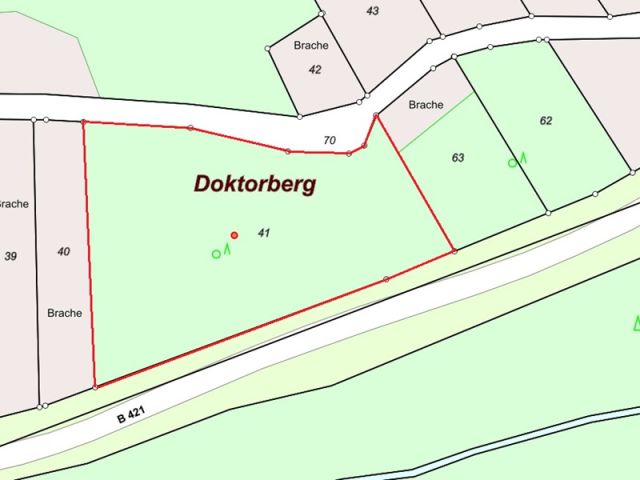 Lageskizze - Vertragsfreies, naturbelassenes Weinberggrundstück auf dem Doktorberg in Zell (Mosel)
