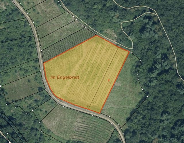 Lageskizze - Vertragsfreies Weinberggrundstück mit pilzwiderstandsfähigen Rebstöcken (PIWI) bestockt im Weinort Zell (Mosel)