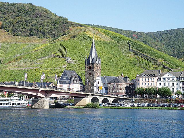 Blick auf Zell und die Umgebung - Vertragsfreies Weinberggrundstück mit pilzwiderstandsfähigen Rebstöcken (PIWI) bestockt im Weinort Zell (Mosel)
