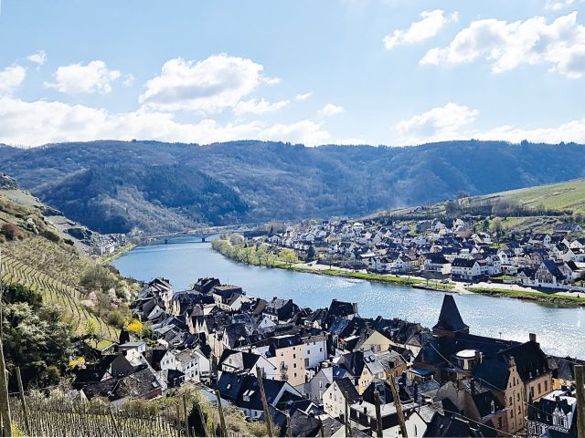 Blick auf Zell und die Umgebung - Vertragsfreies Weinberggrundstück mit pilzwiderstandsfähigen Rebstöcken (PIWI) bestockt im Weinort Zell (Mosel)