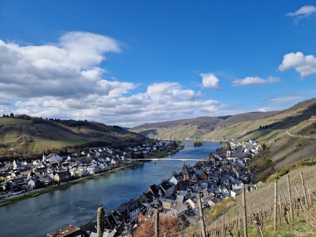 Blick auf Zell und die Umgebung - Vertragsfreies Weinberggrundstück mit pilzwiderstandsfähigen Rebstöcken (PIWI) bestockt im Weinort Zell (Mosel)
