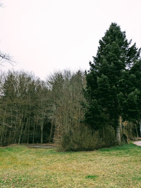 Flurstück 40/10 und Umgebung - 2/110 Miteigentumsanteil an Erholungsflächen im Familiendorf Waldachtal **teilweise vertragslose Nutzung**