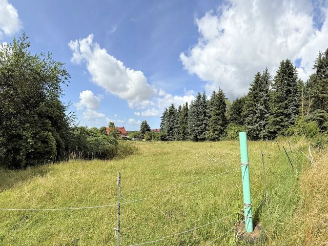 Flurstück 115/148 als Weidefläche genutzt und Umgebung - Über 1,1 ha großes Grundstück umgeben von bebauten Flächen nahe Stralsund und der Ostsee - teilweise vertragslos genutzt