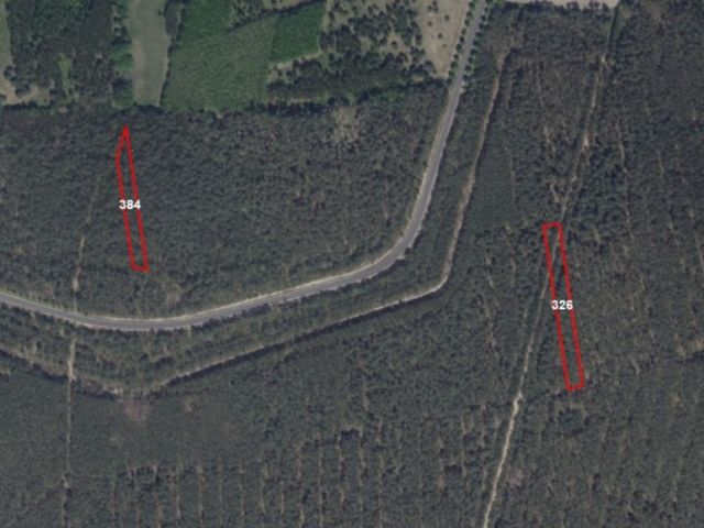 Verkaufsgegenstand - Zwei getrenntliegende Waldgrundstücke westlich von Forst (Lausitz)