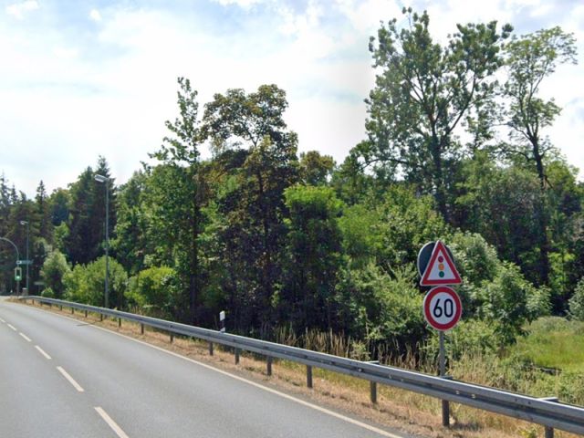 Blick auf Verkaufsfläche und Umgebung - Vertragsfreie mit Gehölzen bewachsene Fläche am Ortseingang von Kulmbach in Oberfranken