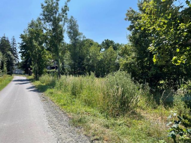 Blick Richtung Verkaufsfläche und auf die Umgebung - Vertragsfreie mit Gehölzen bewachsene Fläche am Ortseingang von Kulmbach in Oberfranken