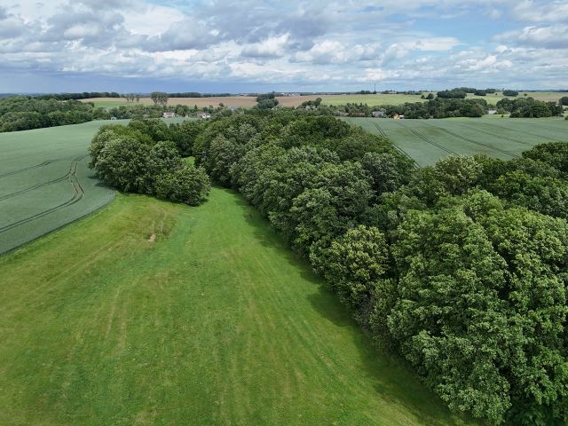 Blick auf die Verkaufsfläche und Umgebung - Vertragsfreie Waldfläche **etwa 25 km vom Chemnitzer Zentrum entfernt**