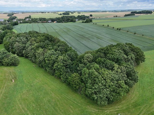 Blick auf die Verkaufsfläche und Umgebung - Vertragsfreie Waldfläche **etwa 25 km vom Chemnitzer Zentrum entfernt**