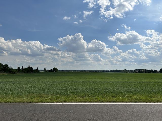 Blick auf die Verkaufsfläche und die Umgebung - Grundstück ggü. einem Wohnhaus *lt. Flächennutzungsplanentwurf tlw. Wohnbau-/Landwirtschaftsfläche*  südöstlich von Cottbus