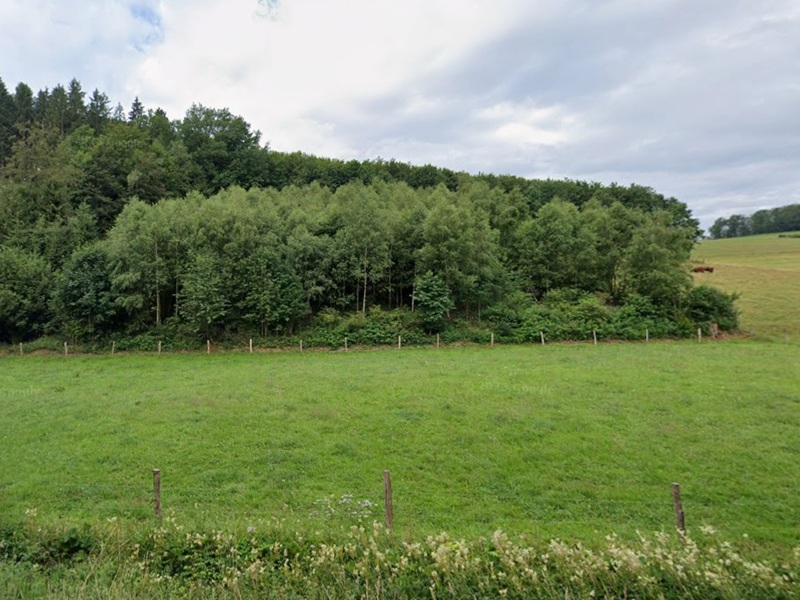 Waldfläche im Westen des Sauerlandes