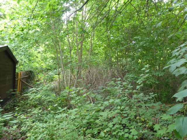 Blick auf den Verkaufsgegenstand - Ehemaliger Garten in nördlicher Randlage der historischen Altstadt von Quedlinburg