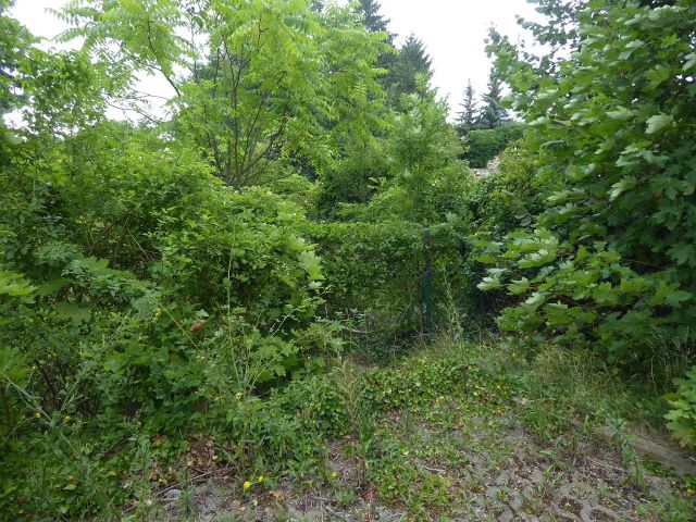 Blick auf den Verkaufsgegenstand - Ehemaliger Garten in nördlicher Randlage der historischen Altstadt von Quedlinburg