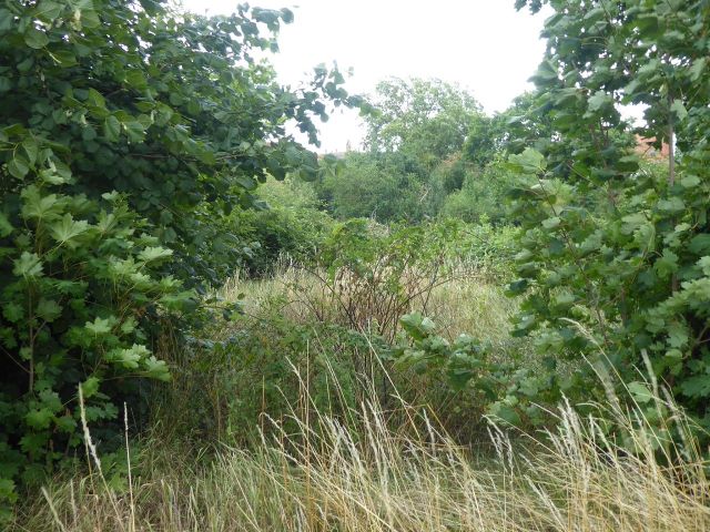 Blick auf den Verkaufsgegenstand - Ehemaliger Garten in nördlicher Randlage der historischen Altstadt von Quedlinburg
