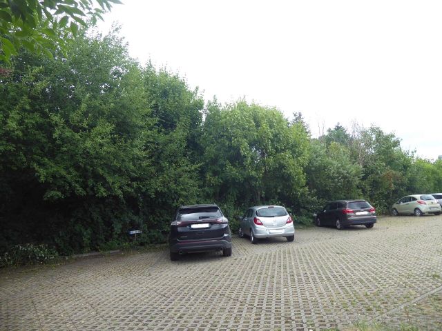 südliche Grundstücksgrenze des Verkaufsgegenstandes - Ehemaliger Garten in nördlicher Randlage der historischen Altstadt von Quedlinburg